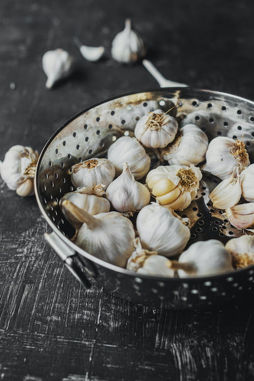 garlic as a treatment to dog ticks