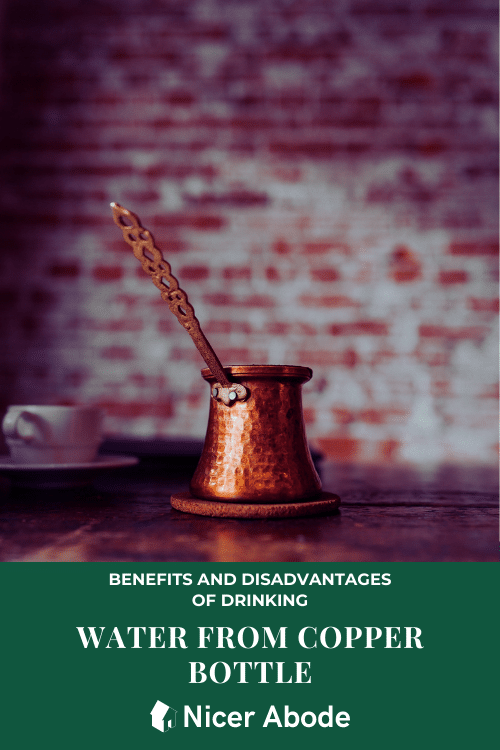BENEFITS AND DISADVANTAGES OF DRINKING 1