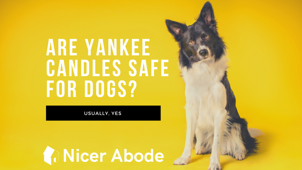 are yankee candles safe for dogs