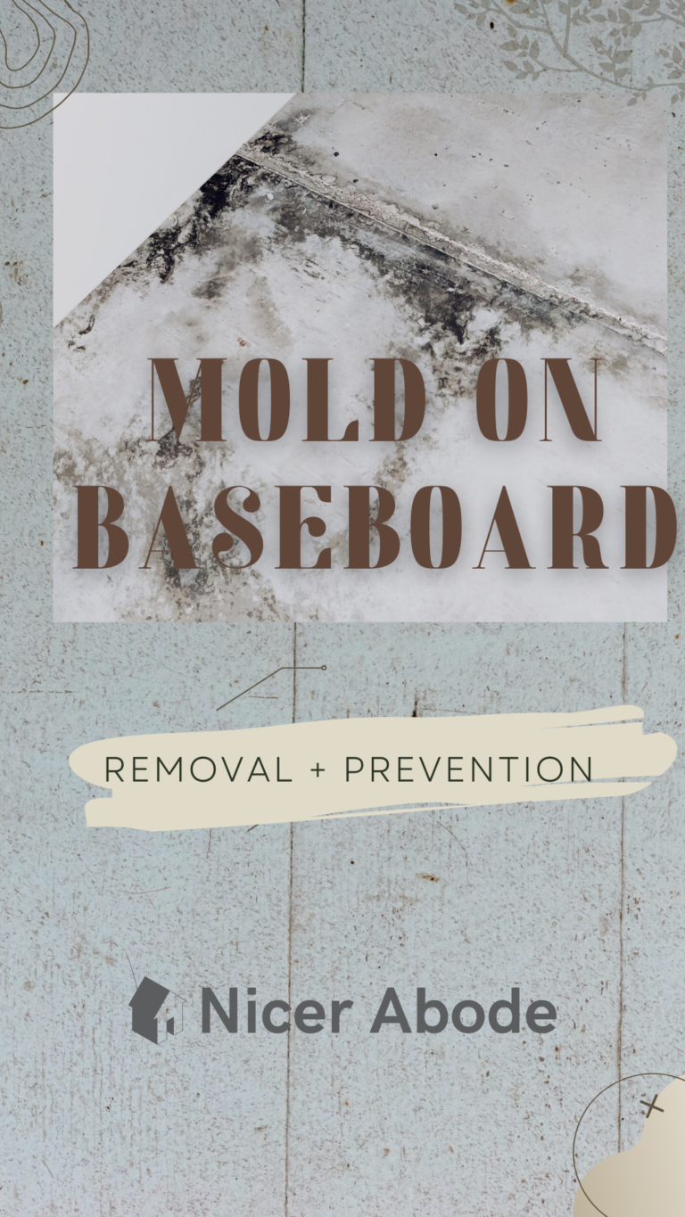 mold on baseboard