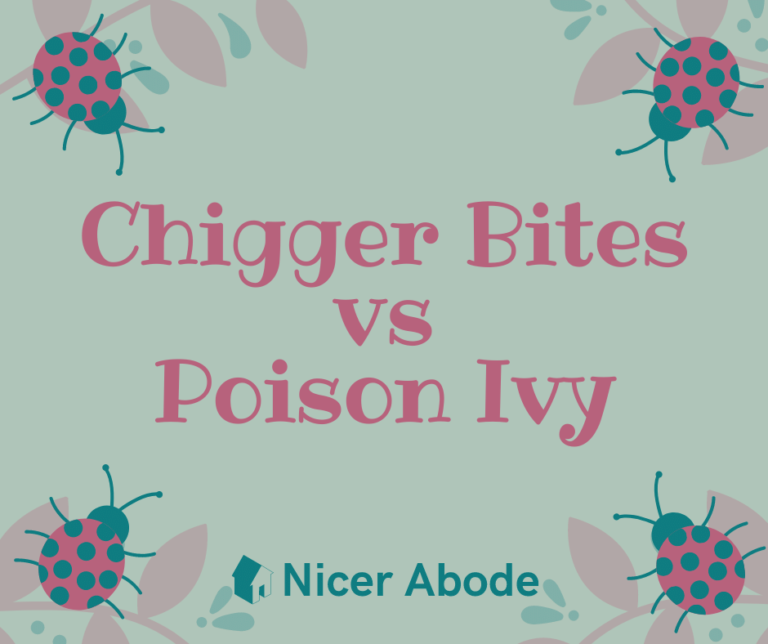 Chigger-Bites-vs-Poison-Ivy