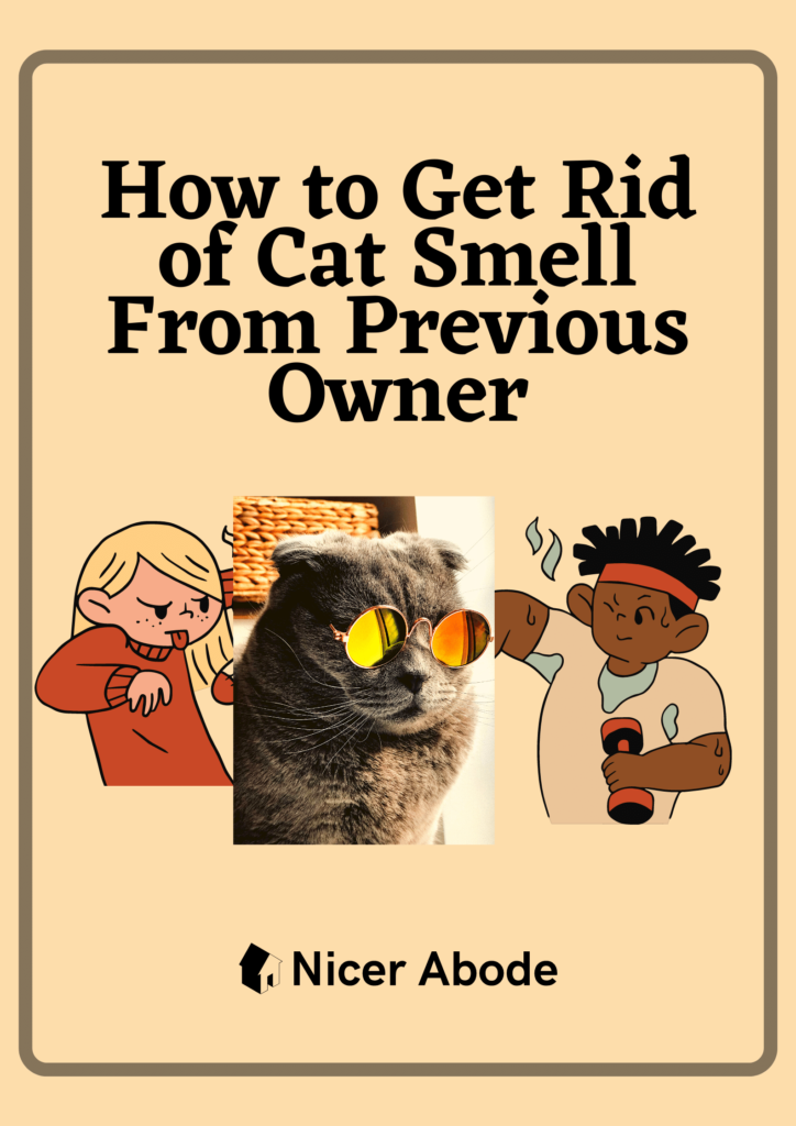 How to Get Rid of Cat Smell From Previous Owner