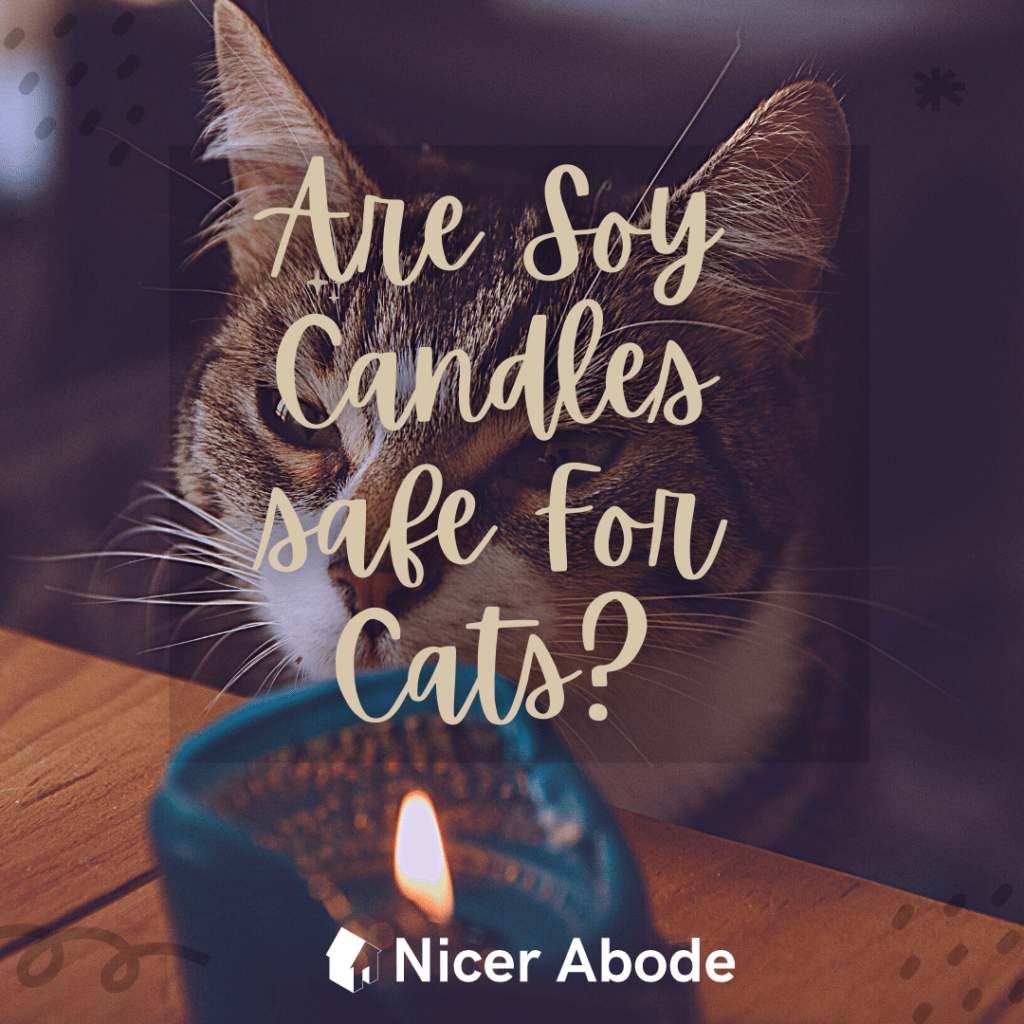 are soy candles safe for cats